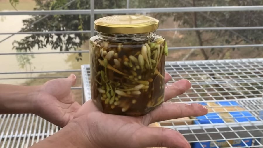 Hoa đu đủ đực ngâm mật ong cực tốt nhưng đại kỵ với 4 người này