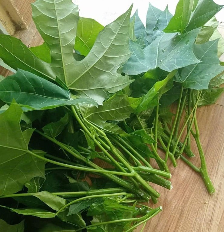 Điều khiến rau mì chính được chú ý không chỉ nằm ở hình dáng mà còn ở hương vị độc đáo