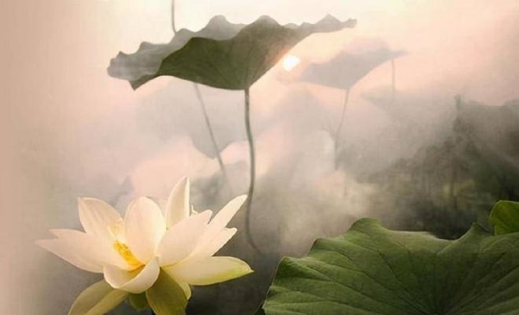 Phật dạy về kẻ nịnh bợ có nói rằng, ai mà chẳng thích mình được người khác nịnh nọt, khen ngợi nhưng cũng chỉ nên dừng ở mức cảm ơn xã giao chứ đừng lún sâu vào những lời đường ngọt quá mức. (Ảnh minh họa)