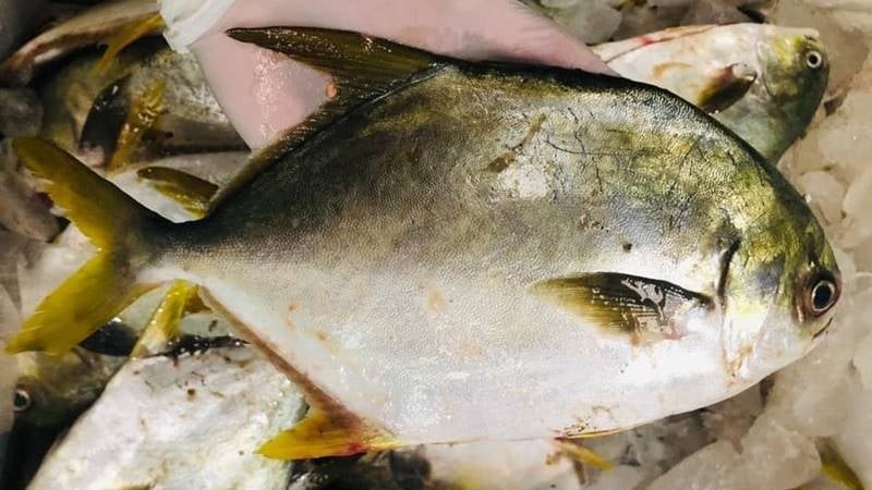 Loại cá mệnh danh đầu bảng “tứ quý ngư”, bán 300 nghìn/kg vẫn hết sạch