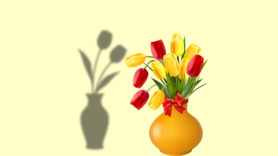 Hoa héo úa, thối nước gây hại sức khoẻ tinh thần và còn hại phong thuỷ