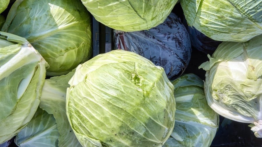 5 người không nên ăn rau cải bắp
