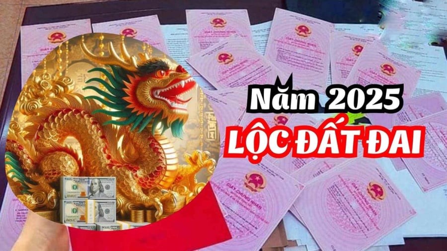 Người tuổi Thìn thuộc nhóm có thiên mệnh mạnh, tầm nhìn xa và luôn biết cách chọn thời điểm. 