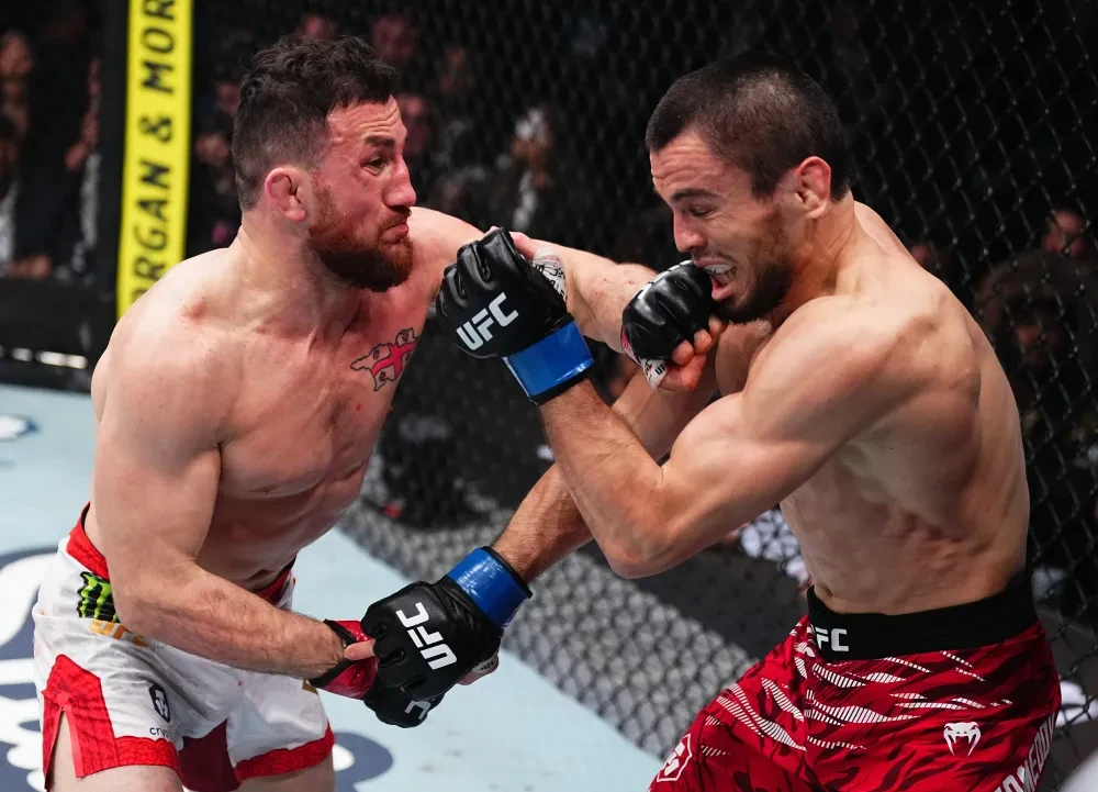 Merab Dvalishvili và Umar Nurmagomedov tại UFC 311