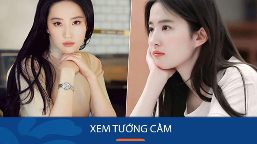 Nhìn tướng cằm biết tương lai