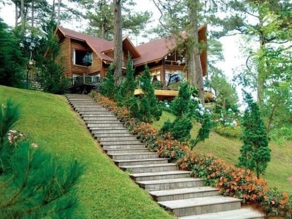 Thực vật và động vật trong nhà là “chỉ báo sinh khí” rõ ràng nhất. 