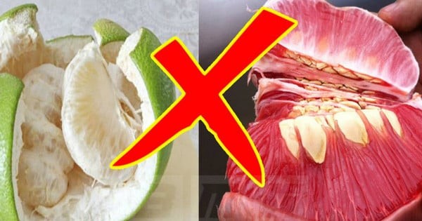 Loại quả thanh nhiệt, giải độc, không sợ ủ thuốc