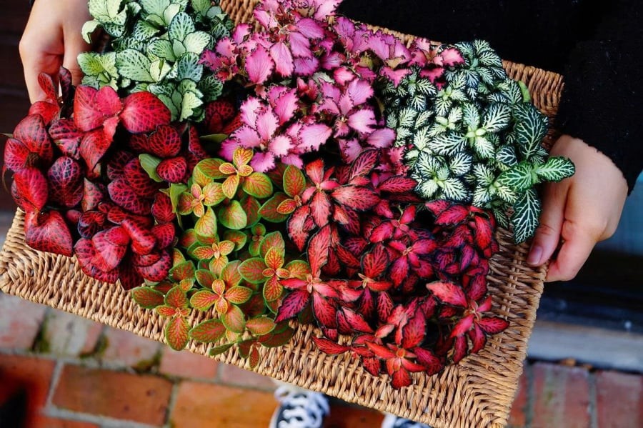 z7276976978016_cc344c261155afd417ae2933c5a645df