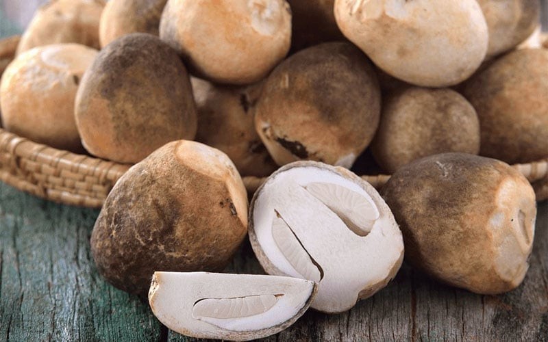 Các nghiên cứu chỉ ra rằng tiêu thụ 18 gram nấm mỗi ngày có thể giảm đáng kể nguy cơ ung thư tới 45%. 