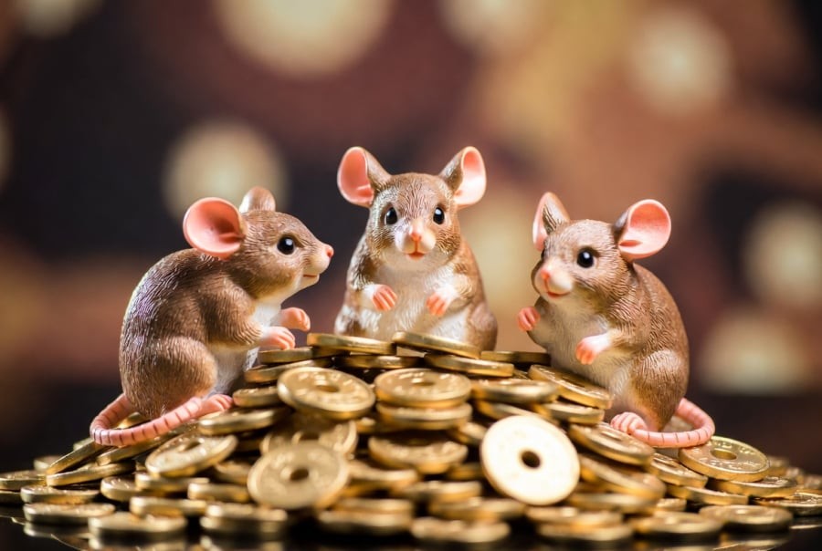 Người tuổi Tý có thể thấy rõ bước tiến trong sự nghiệp nhờ tinh thần trách nhiệm và sự chuẩn bị kỹ lưỡng