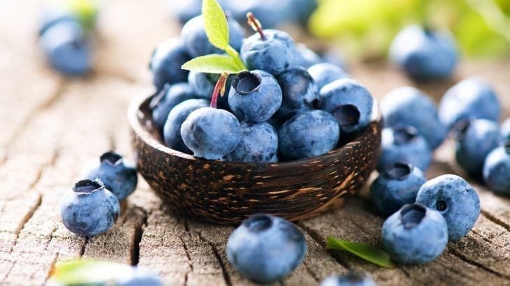 Việt quất chứa hàm lượng anthocyanin dồi dào, hoạt chất giúp bảo vệ tế bào khỏi tác động của gốc tự do