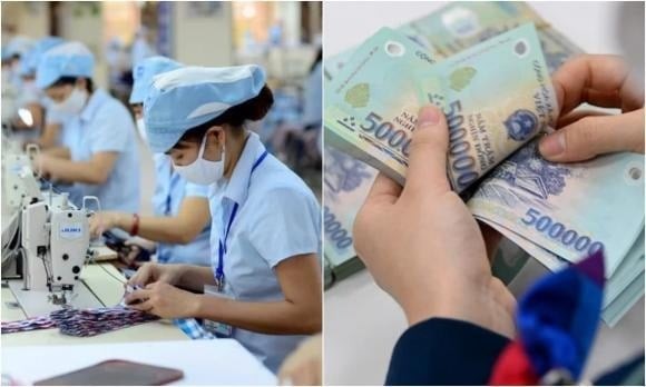 Chính sách áp dụng cho toàn bộ người lao động làm việc theo hợp đồng và người sử dụng lao động theo quy định của Bộ luật Lao động, bao gồm doanh nghiệp, tổ chức, hợp tác xã, hộ gia đình và cá nhân thuê lao động.

