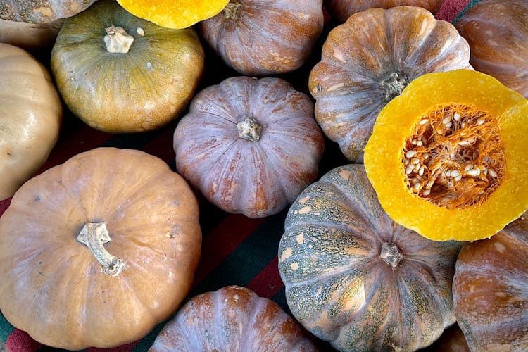 Bí đỏ chứa beta-carotene và vitamin E – hai thành phần có khả năng làm dịu da khô nứt