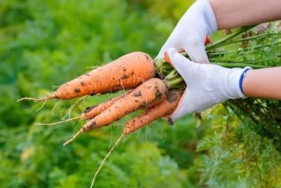 Trên thực tế, dù mua ở siêu thị hay chợ nông sản, tất cả thực phẩm đều phải trải qua kiểm tra nghiêm ngặt của cơ quan quản lý trước khi đến tay người tiêu dùng.