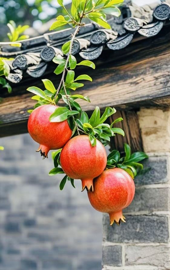 Quả lựu đẹp, ngon