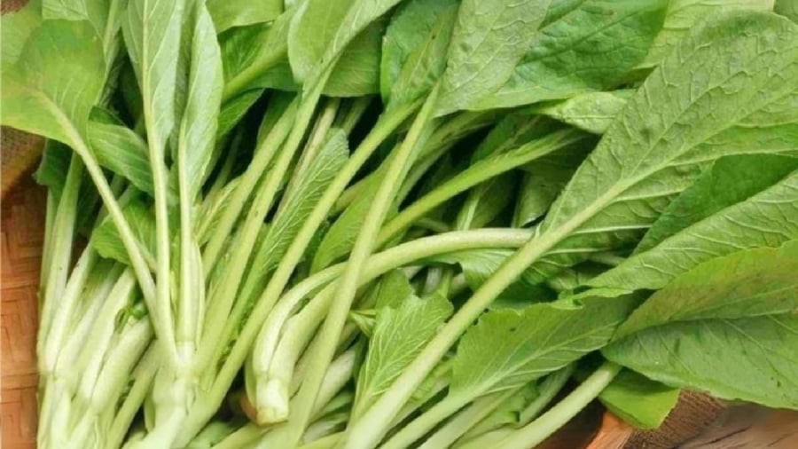 Thường xuyên ăn rau cải giúp phòng ngừa bệnh tật, trong đó có cả ung thư.