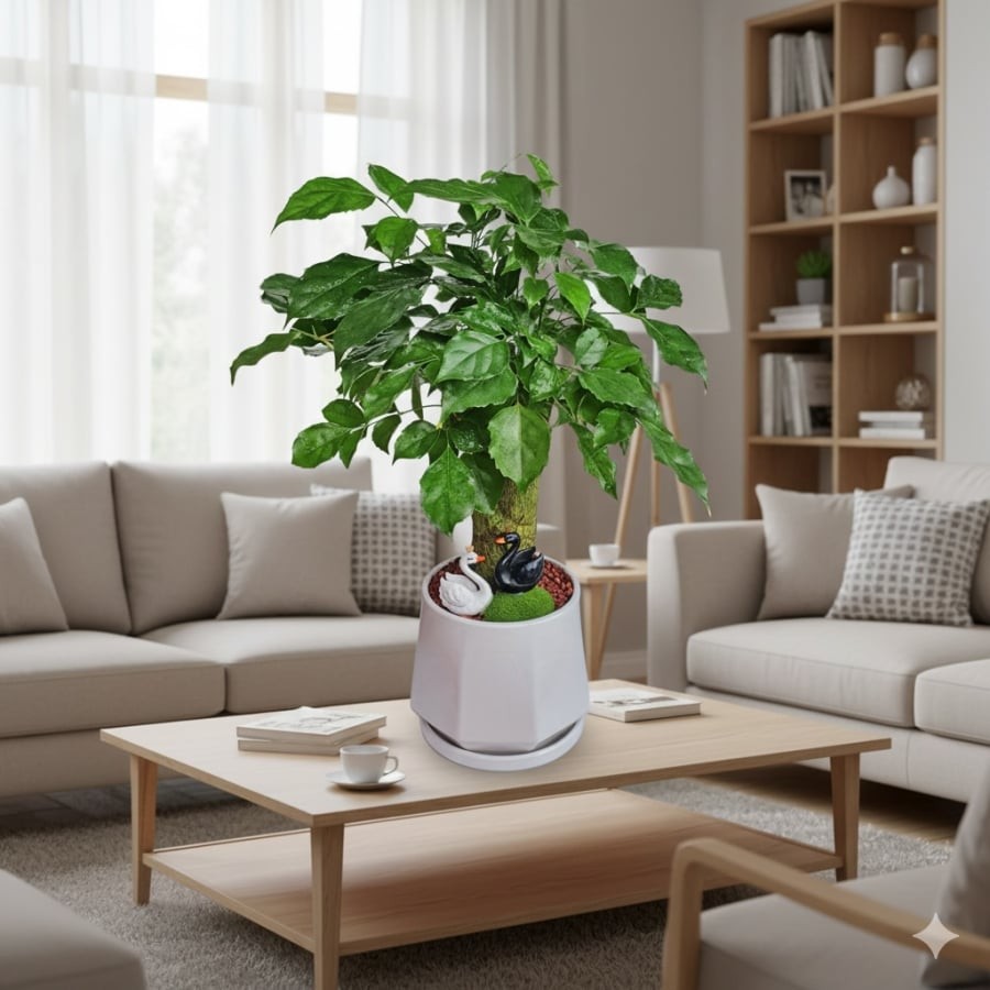 Cây Hạnh phúc đặt phòng khách giúp tăng sinh khí, mang đến cảm giác an yên và tràn năng lượng tích cực.