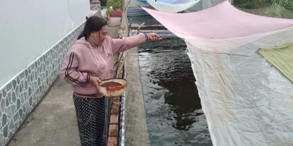 Trong số đó, mô hình nuôi cá rô đồng của chị Lê Thị Hoa (ấp 1, xã Nguyễn Phích) là một điển hình tiêu biểu. 