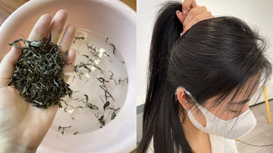Gội đầu bằng nước trà xanh giúp làm sạch da đầu, kích thích mọc tóc.