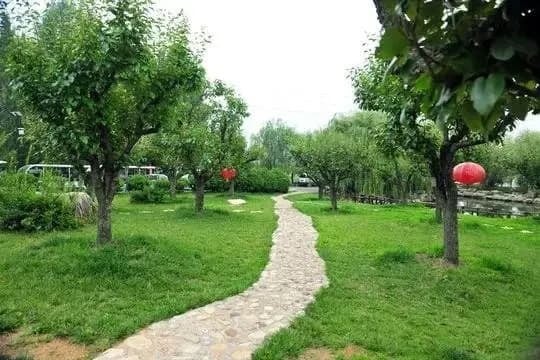 Công viên và các khu vực xanh như những ốc đảo giữa lòng đô thị, mang lại bầu không khí trong lành và tinh thần sảng khoái cho cư dân.