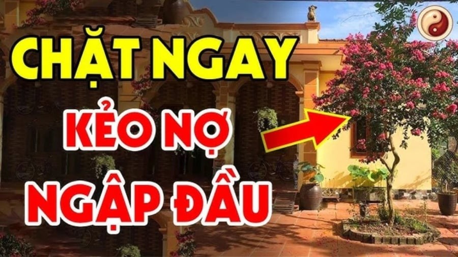 Trước cửa không trồng 3 cây trong nhà không treo 3 vật