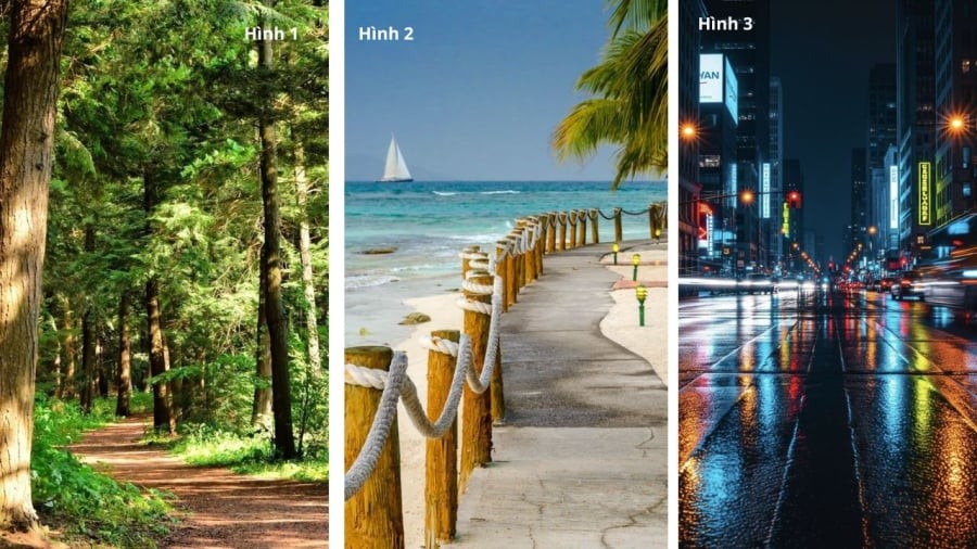 Bạn chọn con đường nào?