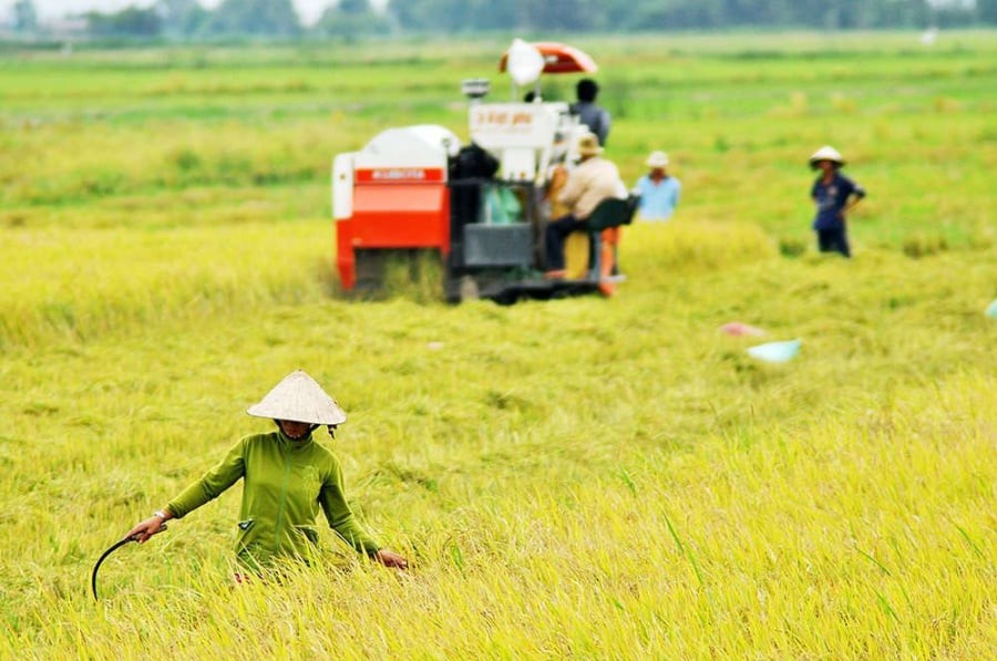 Ngày 6.11.2025, Chính phủ ban hành Nghị định 292/2025/NĐ-CP hướng dẫn Nghị quyết 216/2025/QH15 về kéo dài thời hạn miễn thuế sử dụng đất nông nghiệp.