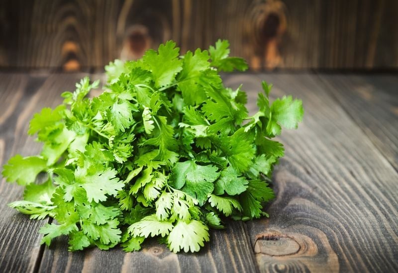 Ăn rau mùi có giải độc gan thận?