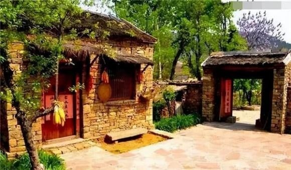 Ngược lại, không phải tất cả cây đều mang ý nghĩa xấu. Một số loại cây có thể mang lại vận may, giúp gia tộc phát triển, đặc biệt là việc trồng “cây Thanh Long” trước và sau nhà.