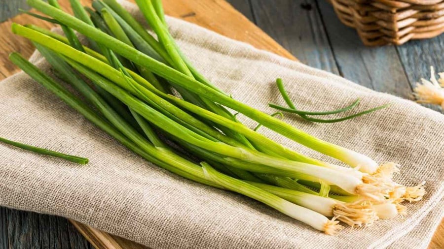 Hành lá cần được để thật khô ráo trước khi bảo quản.