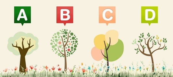 Hãy chọn 1 cái cây nhé!