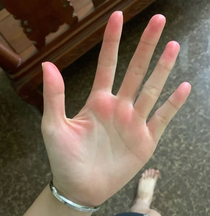 4b-1765548006191-1765548006908461168855