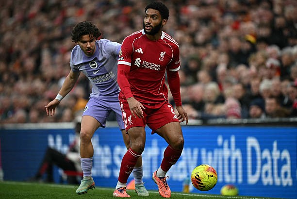 Gomez chưa bao giờ phát huy hết tiềm năng của mình. 