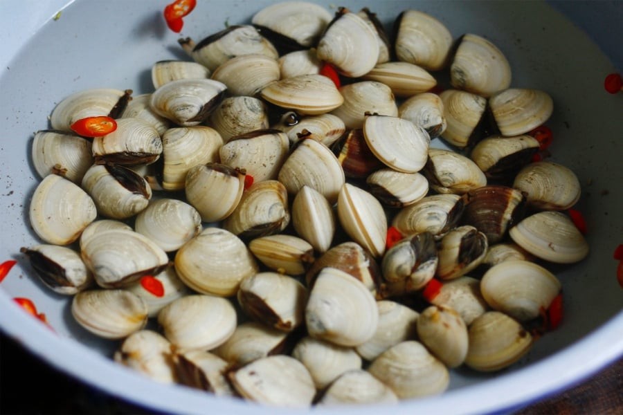 Nghêu và các loại nhuyễn thể cũng giàu magie, canxi, kẽm và sắt, đều quan trọng cho xương, răng, máu và chức năng thần kinh.