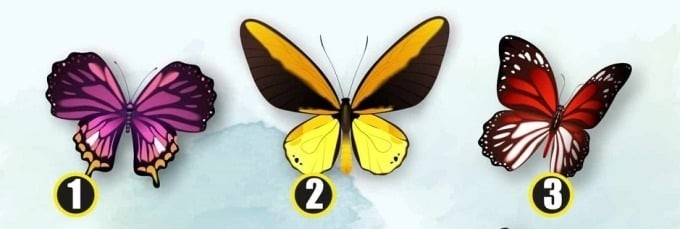 Chọn 1 con bướm nhé!