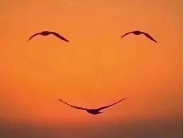 Hãy chọn hình ảnh bạn nhìn thấy đầu tiên trong bức tranh nhé!