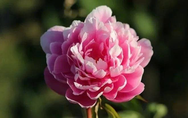 z7331944382901_d14dd7d8816a93b7dde477aea7f63561