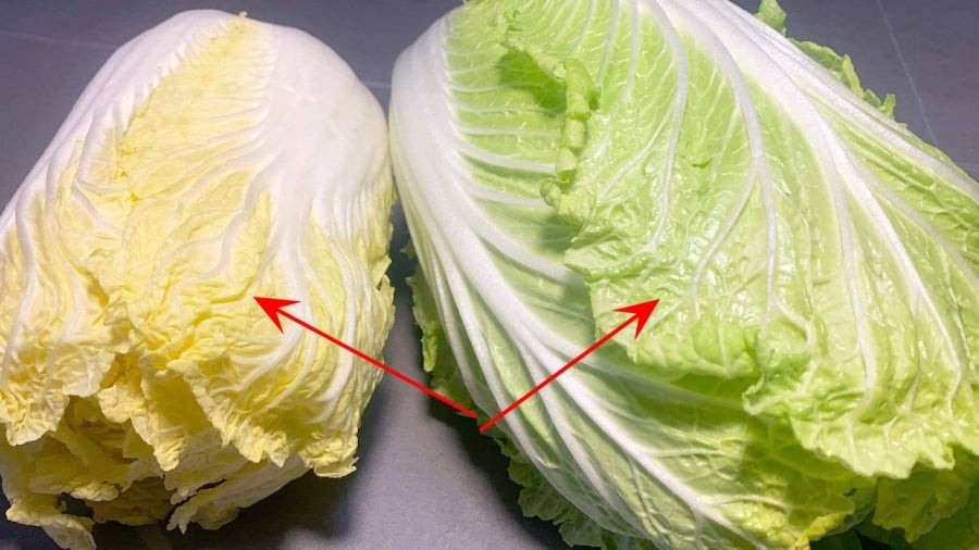Cải thảo xanh và cải thảo vàng có sự khác biệt về kết cấu cũng như hương vị.