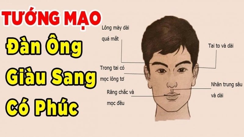 Tướng đàn ông giàu sang phú quý
