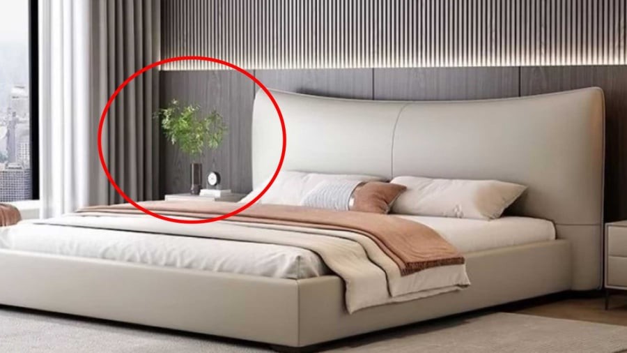 Gia chủ có thể đặt một số loại cây xanh cỡ nhỏ có ý nghĩa phong thủy tốt ở khu vực đầu giường.