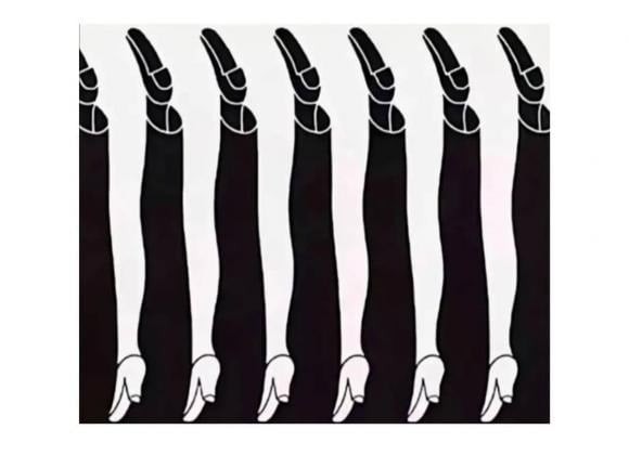 Hãy chọn thứ bạn nhìn thấy nhé!