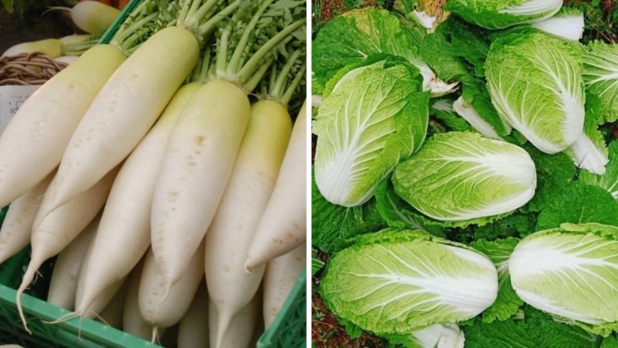 Củ cải và cải thảo là những loại rau củ mùa đông mà bạn nên mua.