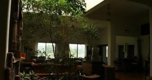 Nếu vừa bước vào nhà đã thấy không gian tối, ánh đèn yếu hoặc thiếu hoàn toàn ánh sáng tự nhiên, phong thủy thường bị đánh giá là kém vượng. 