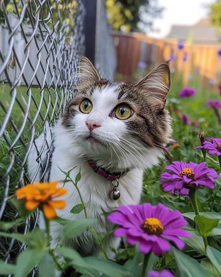 Tuổi Mão thường quá cẩn thận nên cơ hội đi mất