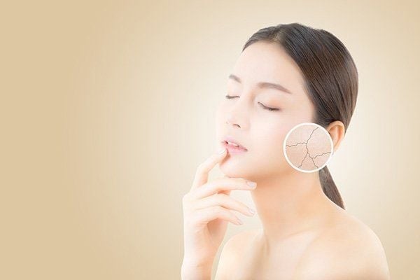 Vitamin B đóng vai trò quan trọng trong quá trình chuyển hóa năng lượng của cơ thể, từ đó hỗ trợ các hoạt động tái tạo tế bào