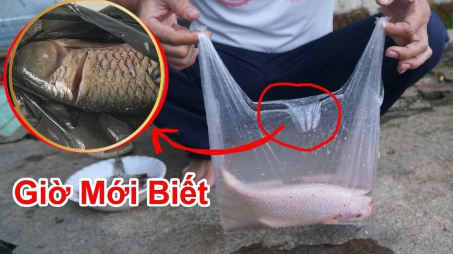 Thoạt nhìn, đây chỉ là một thói quen buôn bán lâu năm, nhưng thực tế, chiếc túi đen này lại đóng vai trò quan trọng hơn nhiều so với tưởng tượng.