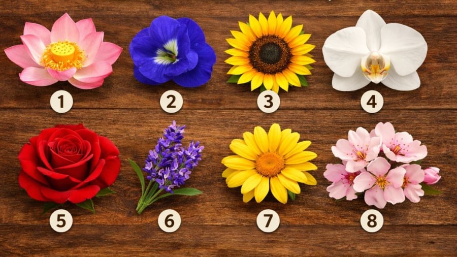 Bạn chọn bông nào?