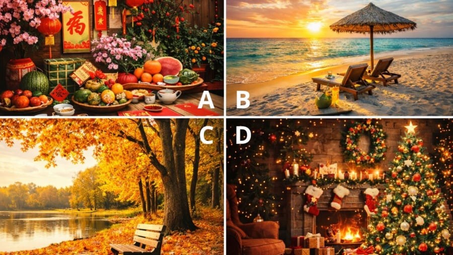 Khung cảnh nào giúp bạn thấy dễ chịu