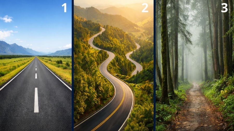 Bạn chọn con đường nào lúc này?