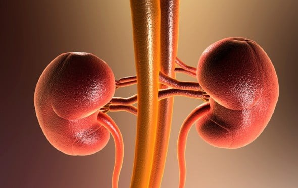 suy-than-co-dau-hieu-gi-5-1767054973023731140830